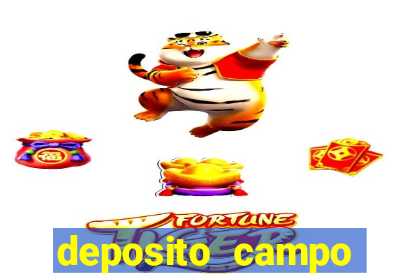 deposito campo grande santos